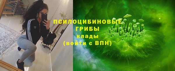 2c-b Верхний Тагил