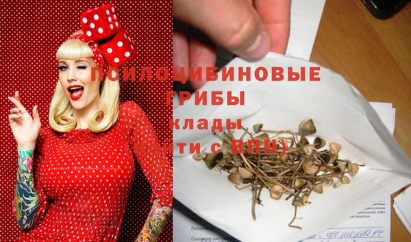 2c-b Верхний Тагил