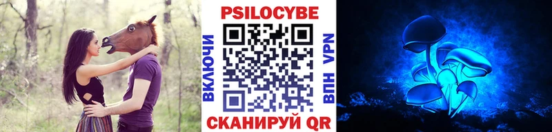 Псилоцибиновые грибы Psilocybine cubensis Лабытнанги